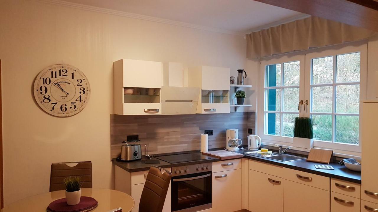 Schweizer Haus Wippraアパートメント エクステリア 写真